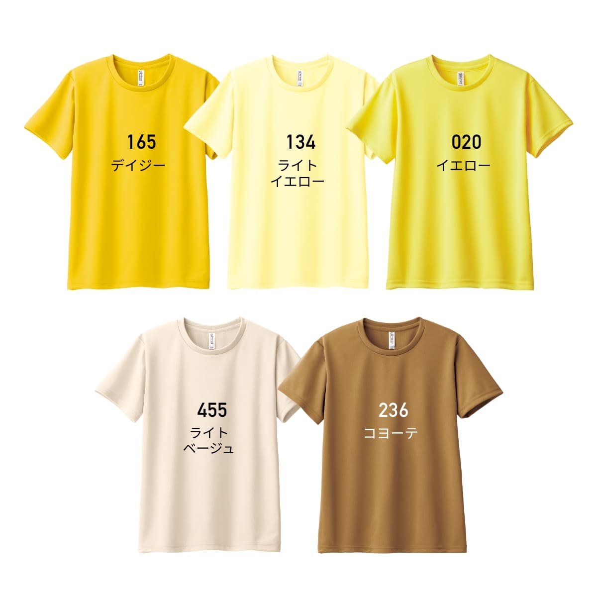 アイビーtシャツレディース コレクション